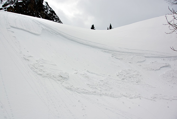 ski cut crown